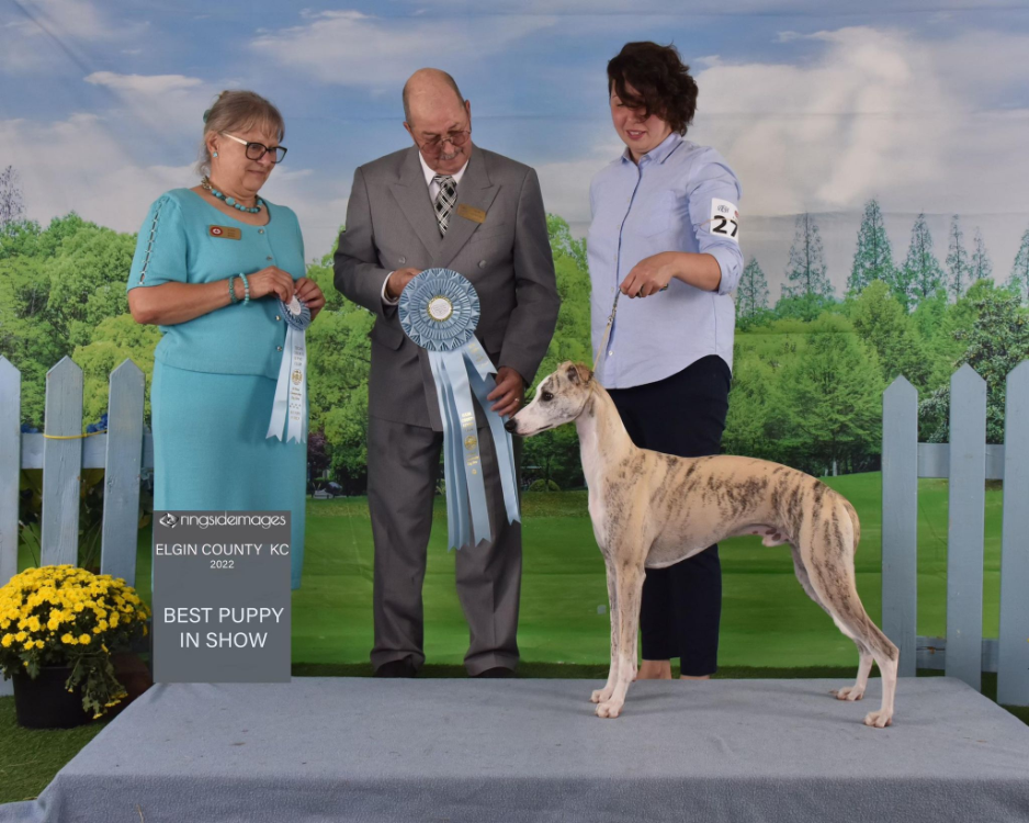 FRECKASHPENG THE STORY BEGINS